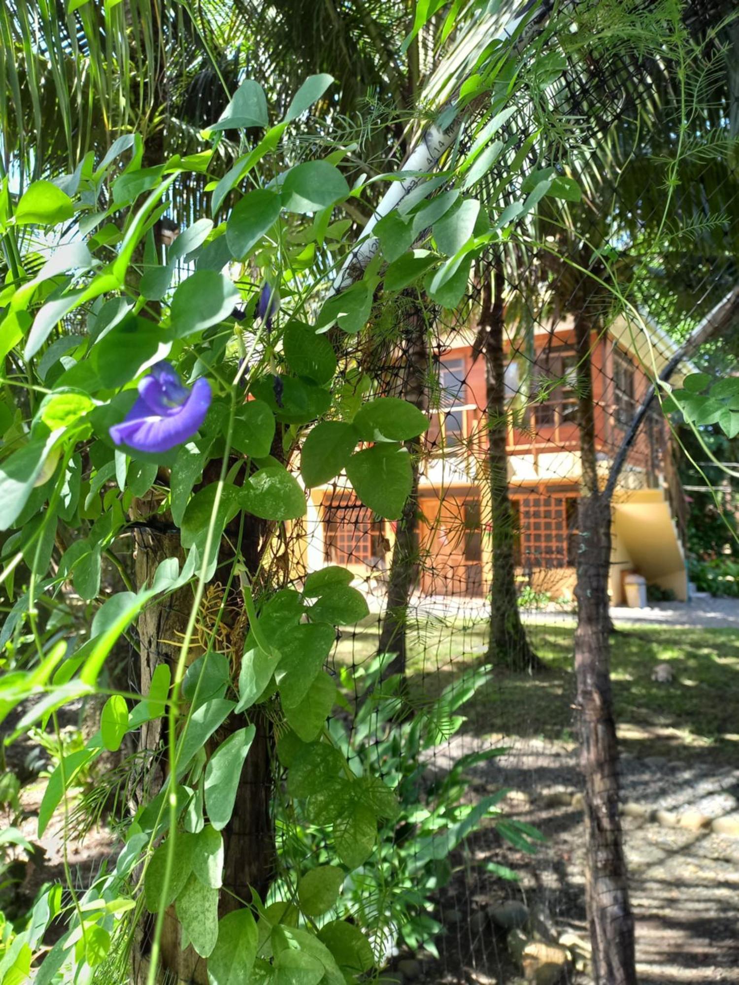 Babilonia Cahuita Exterior foto