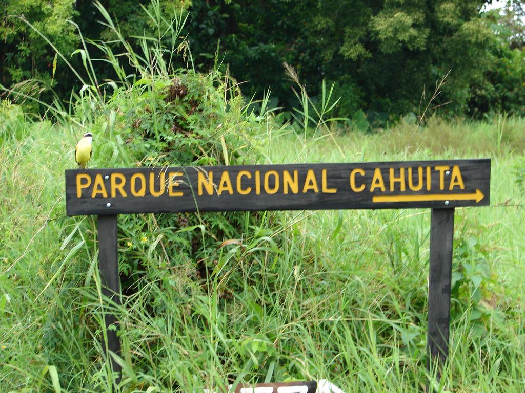 Babilonia Cahuita Exterior foto