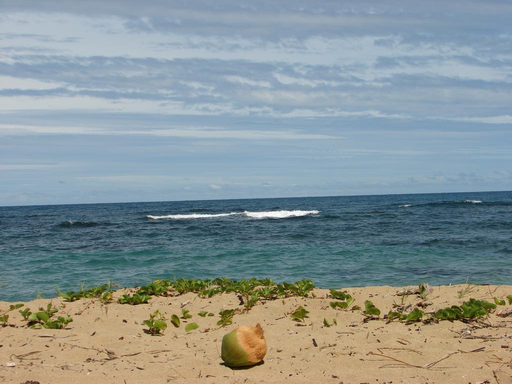 Babilonia Cahuita Exterior foto