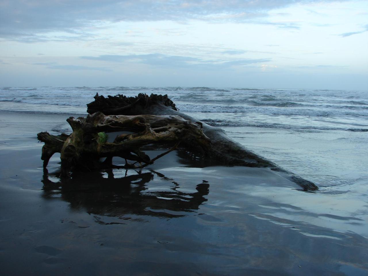 Babilonia Cahuita Exterior foto